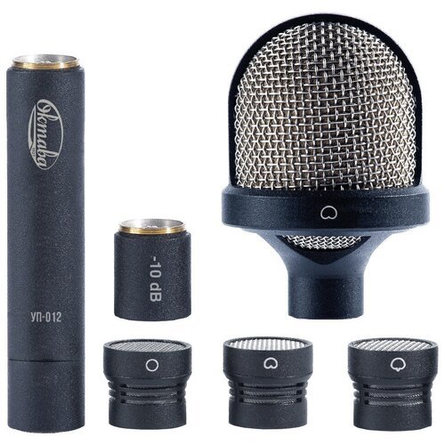 Микрофон студийный конденсаторный Октава МК-012-10 черный в деревянном футляре