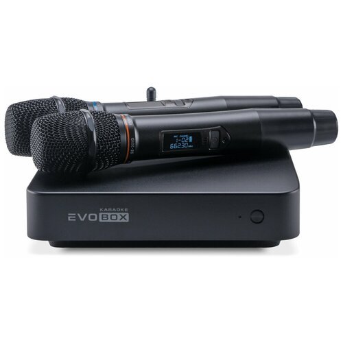 Караоке EvoBox Plus с микрофонами и EvoCase Ruby
