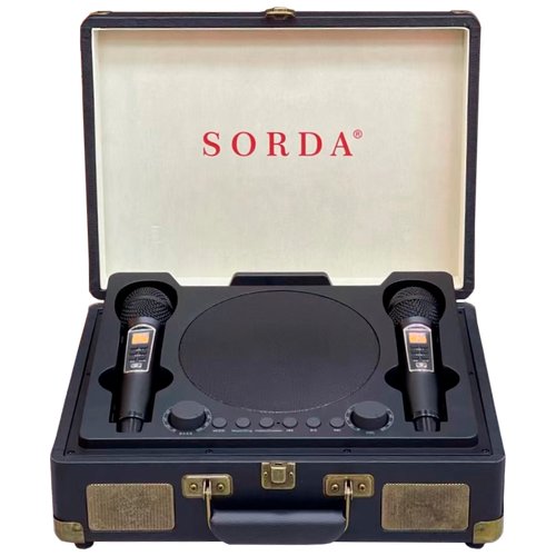 Караоке система с двумя радиомикрофонами SORDA SD-2109 Black