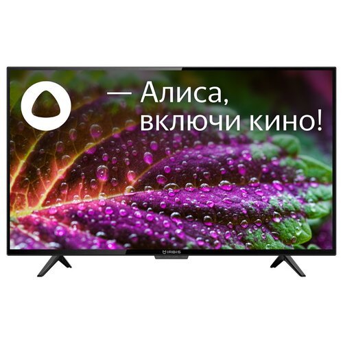 43' Телевизор Irbis 43F1YDX104BS2 LED на платформе Яндекс.ТВ, черный