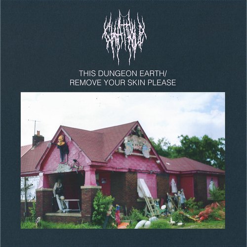 Виниловая пластинка Chat Pile – This Dungeon Earth / Remove Your Skin Please (Pink & Green Mix) LP